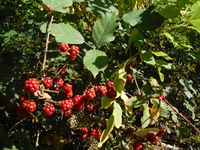 Болгария - Бургас