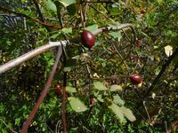 Болгария - Бургас