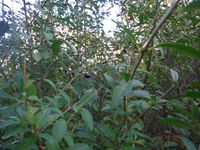 Болгария - Бургас