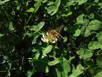 Болгария - Бургас