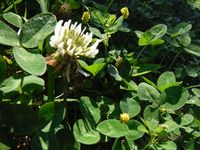 Болгария - Бургас