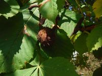 Болгария - Бургас