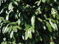 Болгария - Бургас