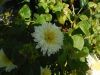 Болгария - Бургас