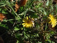 Болгария - Бургас