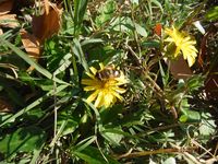 Болгария - Бургас