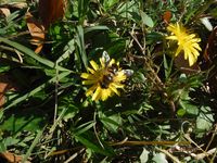 Болгария - Бургас