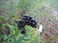 Болгария - Бургас