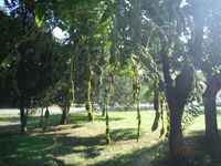 Болгария - Бургас