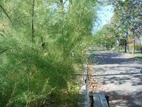 Болгария - Бургас