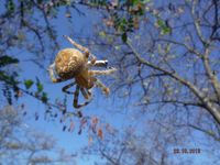 Болгария - Бургас