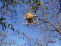 Болгария - Бургас