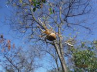 Болгария - Бургас