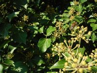 Болгария - Бургас