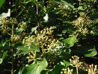 Болгария - Бургас