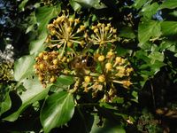 Болгария - Бургас