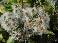 Болгария - Бургас