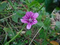 Болгария - Бургас