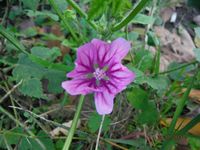 Болгария - Бургас