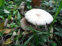 Болгария - Бургас