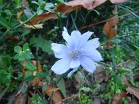 Болгария - Бургас