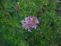 Болгария - Бургас