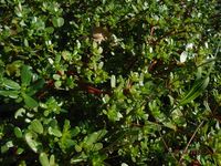 Болгария - Бургас