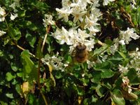 Болгария - Бургас