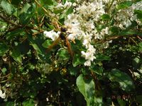 Болгария - Бургас