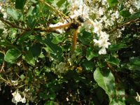 Болгария - Бургас