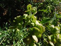 Болгария - Бургас