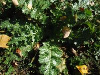 Болгария - Бургас