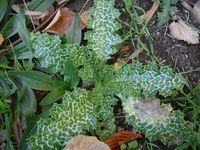 Болгария - Бургас