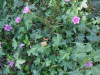 Болгария - Бургас