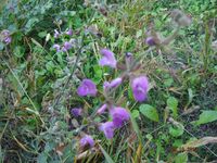 Болгария - Бургас