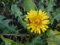 Болгария - Бургас