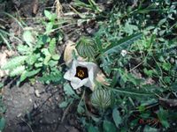 Болгария - Бургас