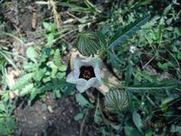 Болгария - Бургас