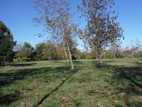 Болгария - Бургас