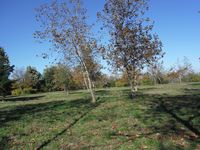 Болгария - Бургас