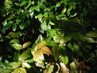 Болгария - Бургас