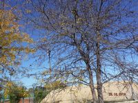 Болгария - Бургас