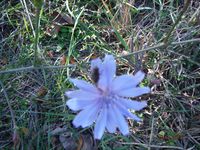 Болгария - Бургас