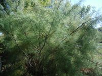 Болгария - Бургас