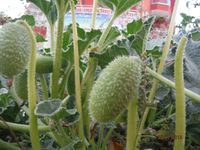 Болгария - Бургас