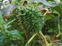 Болгария - Бургас