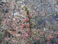 Болгария - Бургас