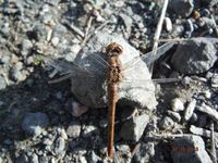 Болгария - Бургас