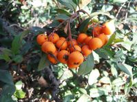 Болгария - Бургас