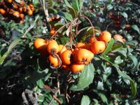 Болгария - Бургас